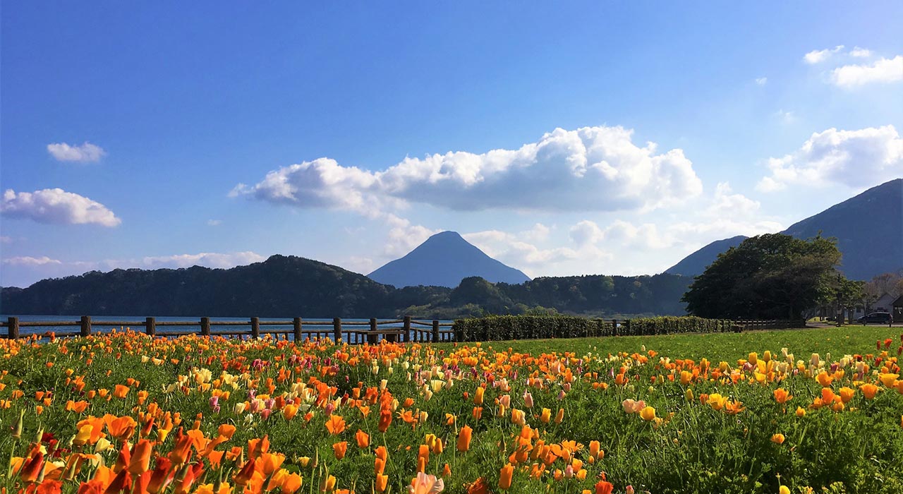 鹿児島空港　レンタカー,鹿児島中央駅　レンタカー